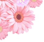 Љ r܃Ait@bNyrAFv ⒸANzzewfwNo1