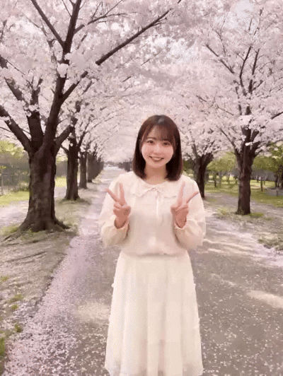 �������惋�V�A �ڍ�